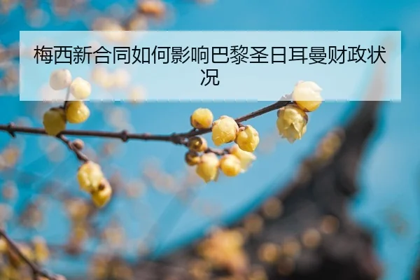 mei-xi-xin-he-tong-ru-he-ying-xiang-ba-li-sheng-ri-er-man-cai-zheng-zhuang-kuang-2-558.jpg