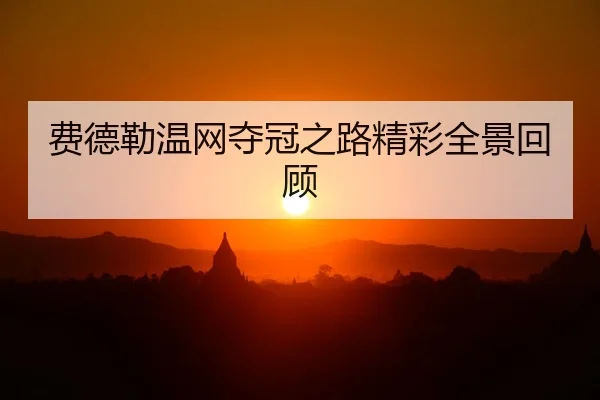 费德勒温网夺冠之路精彩全景回顾