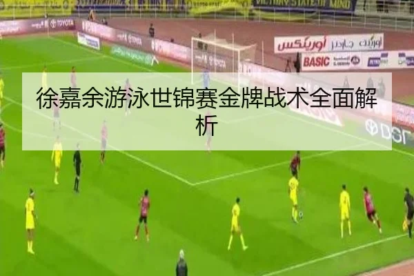 徐嘉余游泳世锦赛金牌战术全面解析